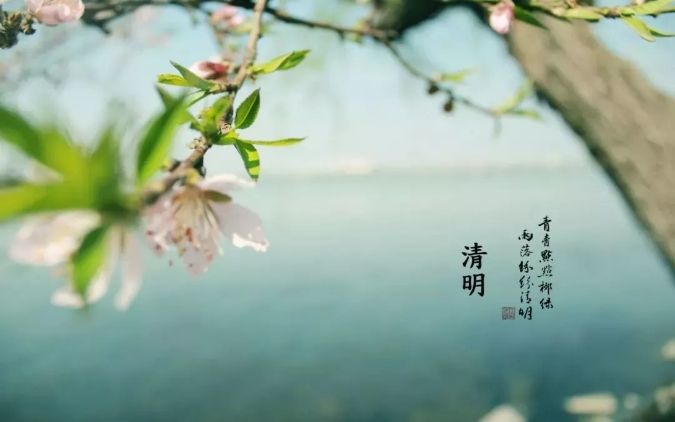 清明 || 雨紛紛，思故人