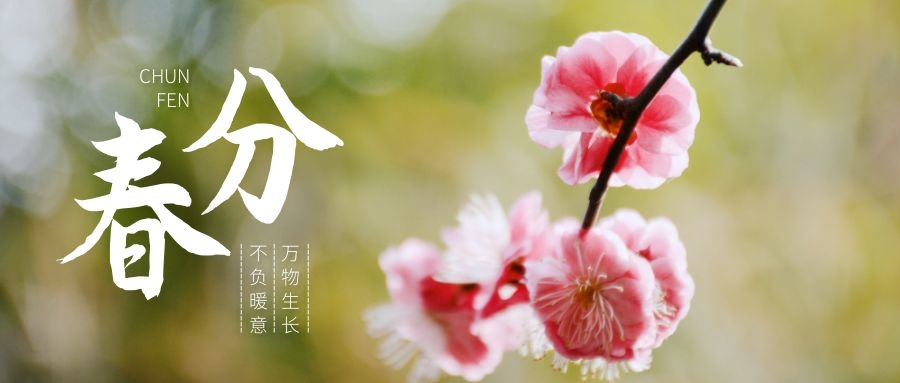 春分時節(jié)萬物生長，這份養(yǎng)生寶典一定要收藏！