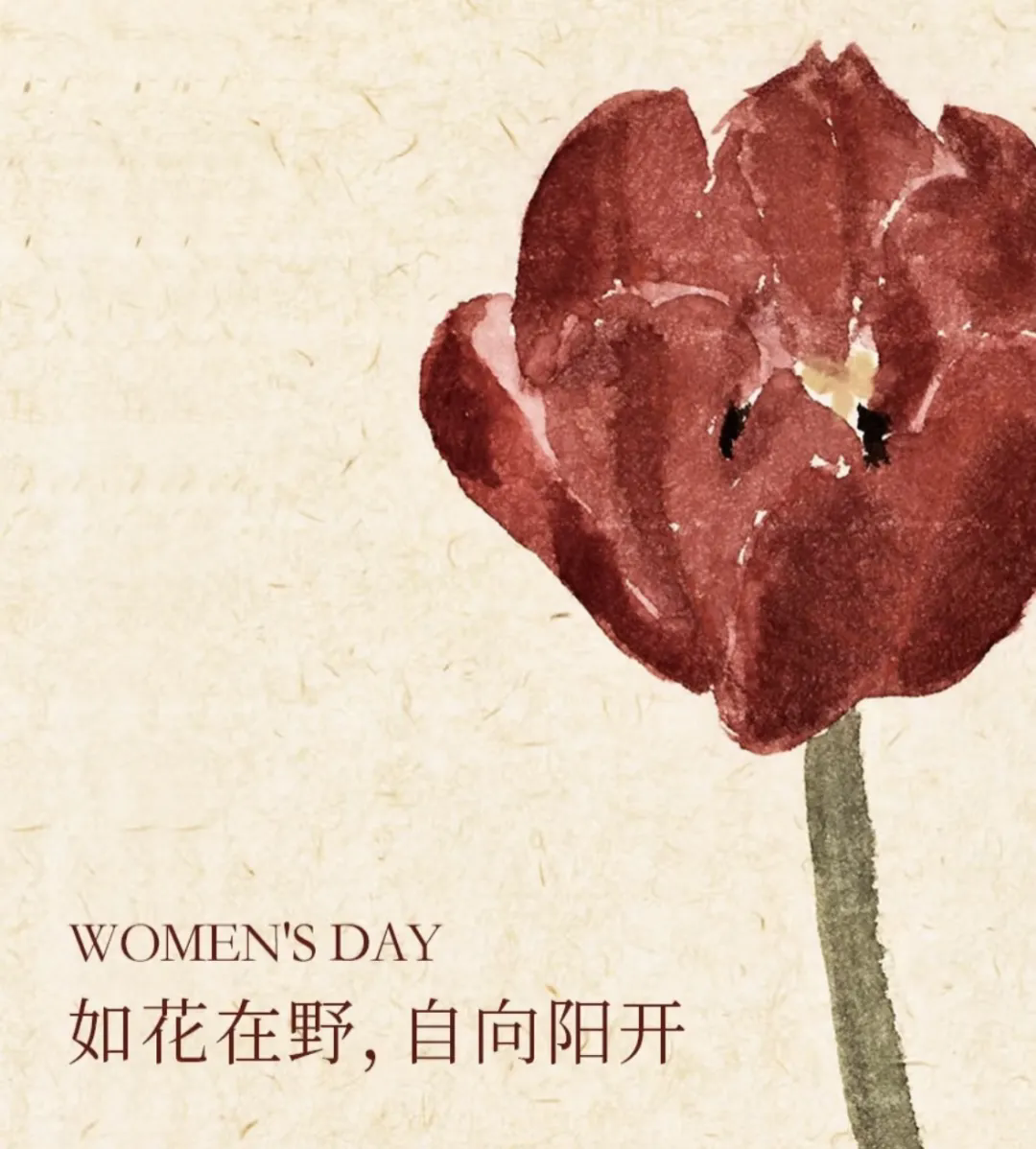 3·8女神節(jié)丨 南北特糕點(diǎn)，獻(xiàn)給每一位甜蜜女神