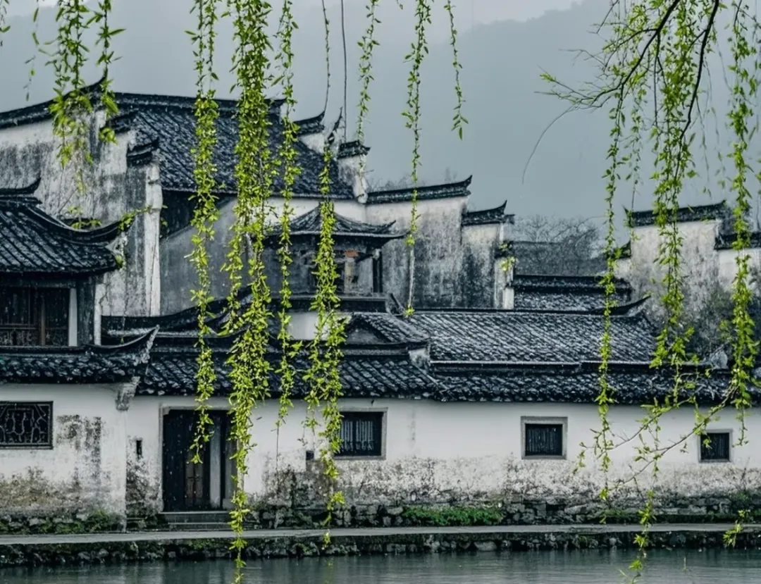640.webp (3).png